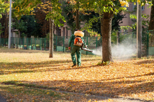 Best Flea Control Services  in Westhampton, NY