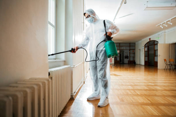 Best Pest Removal Services  in Westhampton, NY